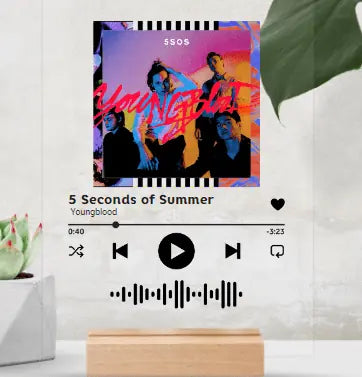 Acrylic Song Plaque - 5 Seconds of Summer (Youngblood)