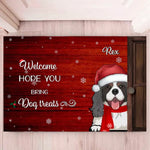 Load image into Gallery viewer, Welcome. HOPE YOU Bring Treats For The Pets
