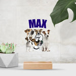 Load image into Gallery viewer, My Pet
