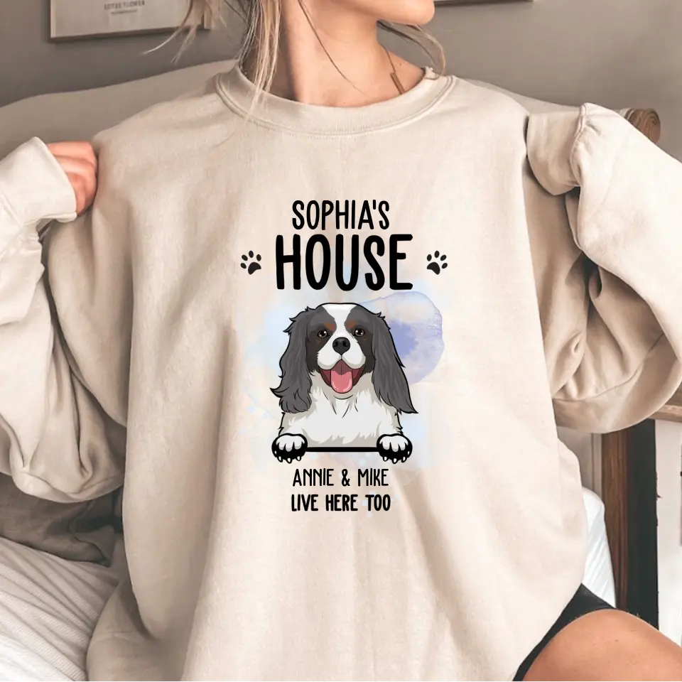 Dog House