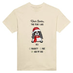 Load image into Gallery viewer, Dear Santa
