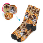 Load image into Gallery viewer, Cat Mash socks personalized with photo of face printed on them
