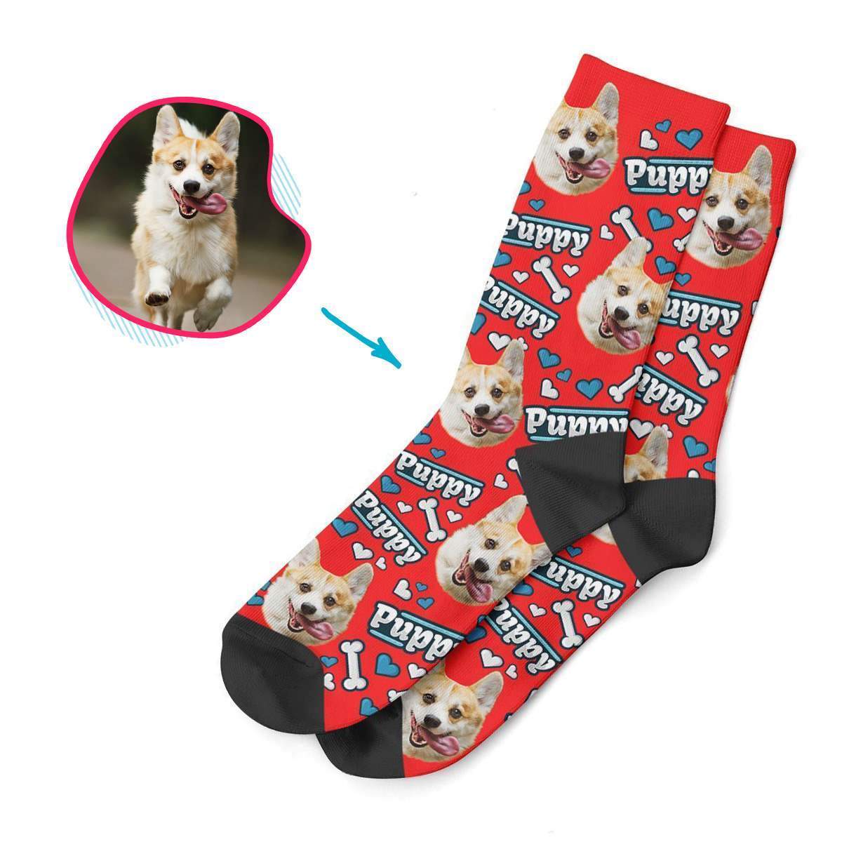 Puppy Personalized Socks